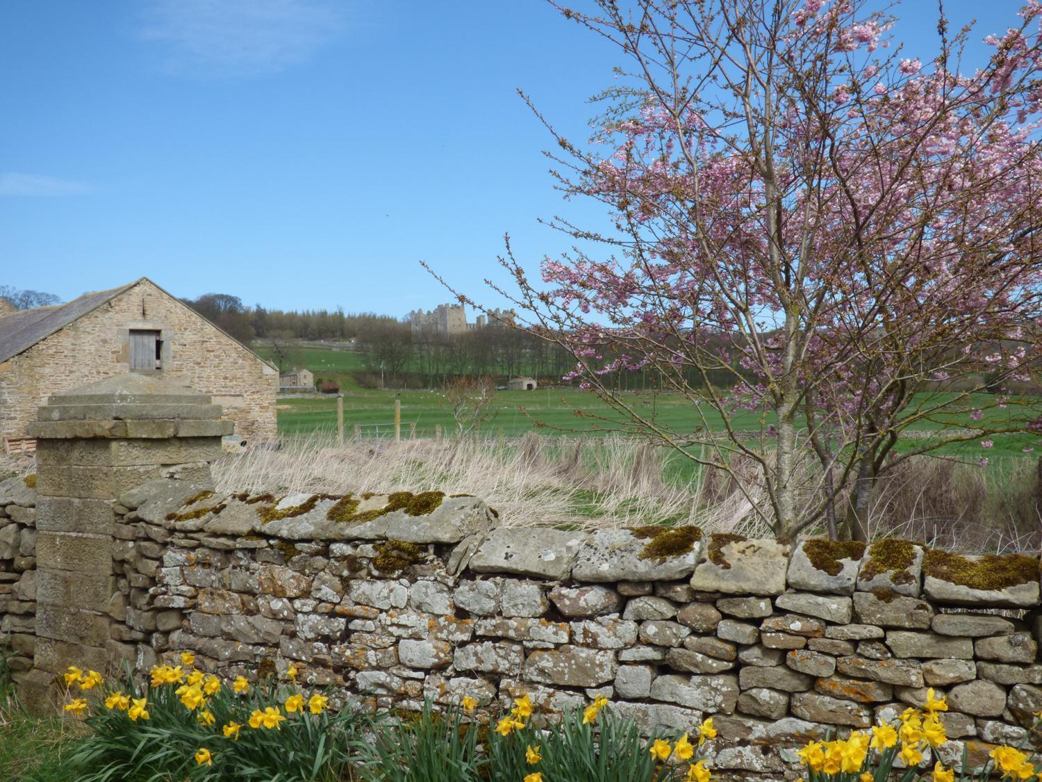 Barn Cottage West Burton Bagian luar foto